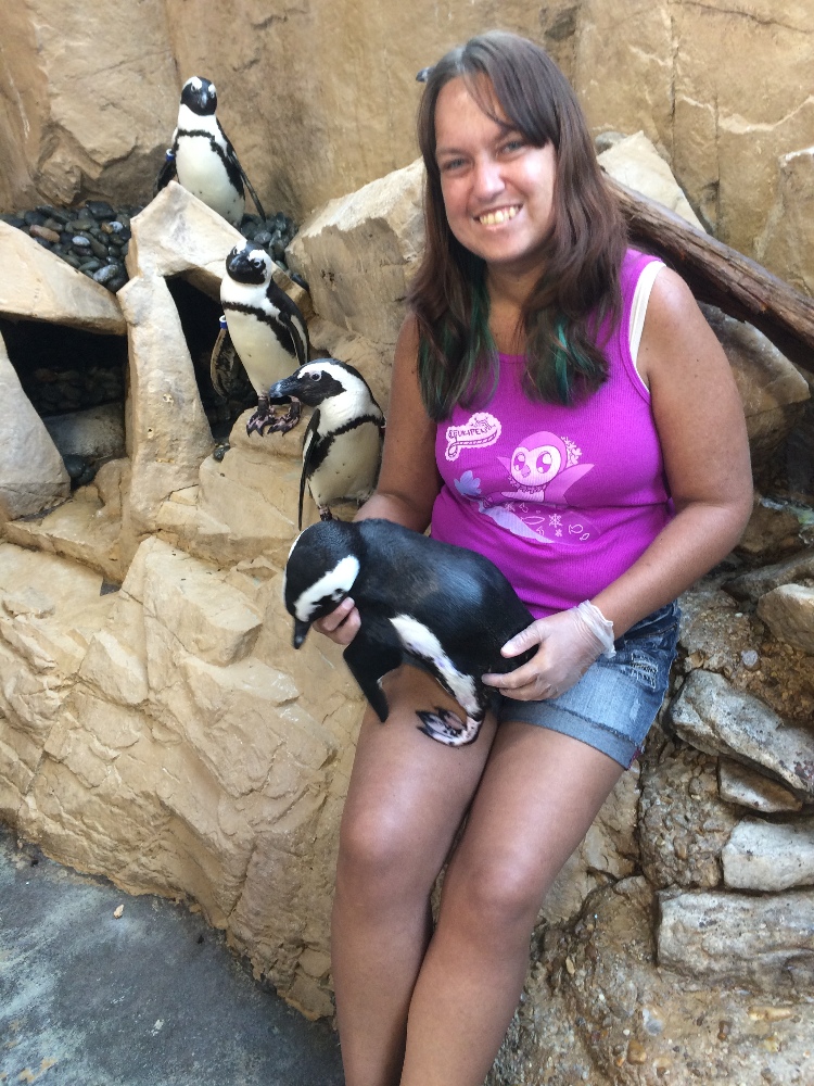Tiare Tolzmann Penguin